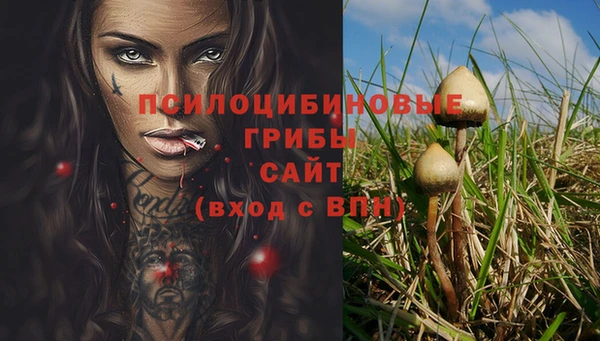 Альфа ПВП Арсеньев
