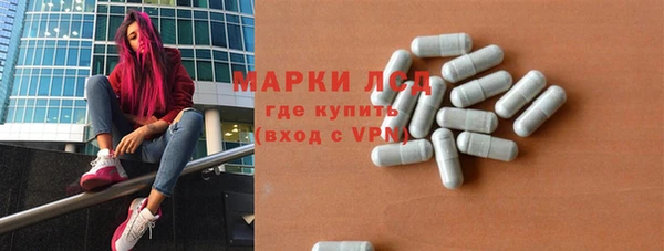 дмт Богданович