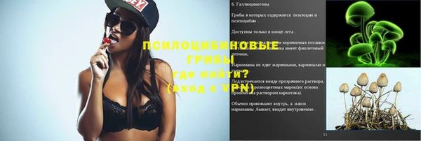 Альфа ПВП Арсеньев