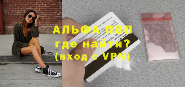 дмт Богданович