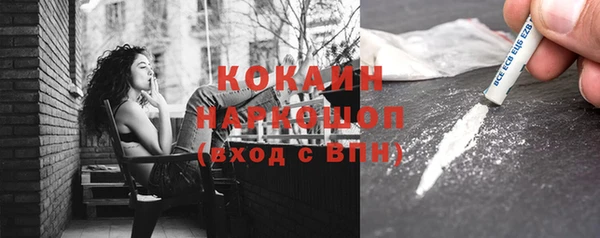 дмт Богданович