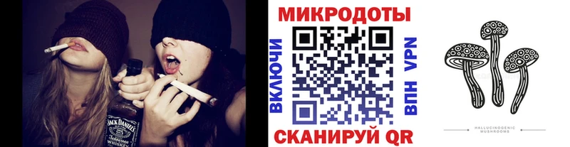 Галлюциногенные грибы мухоморы  закладка  Козьмодемьянск 